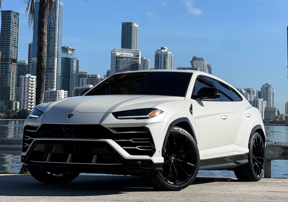 nkyCSK0n_Lamb Urus White